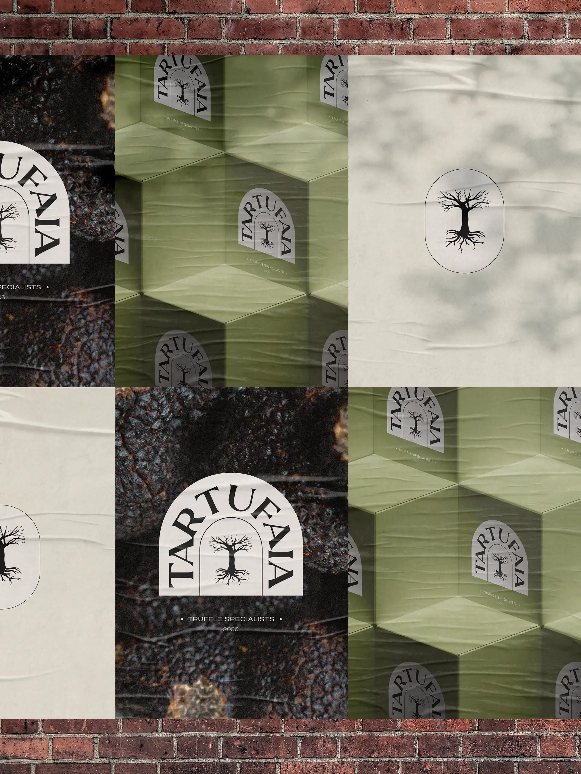 Tartufaia visual by Studio S__LF