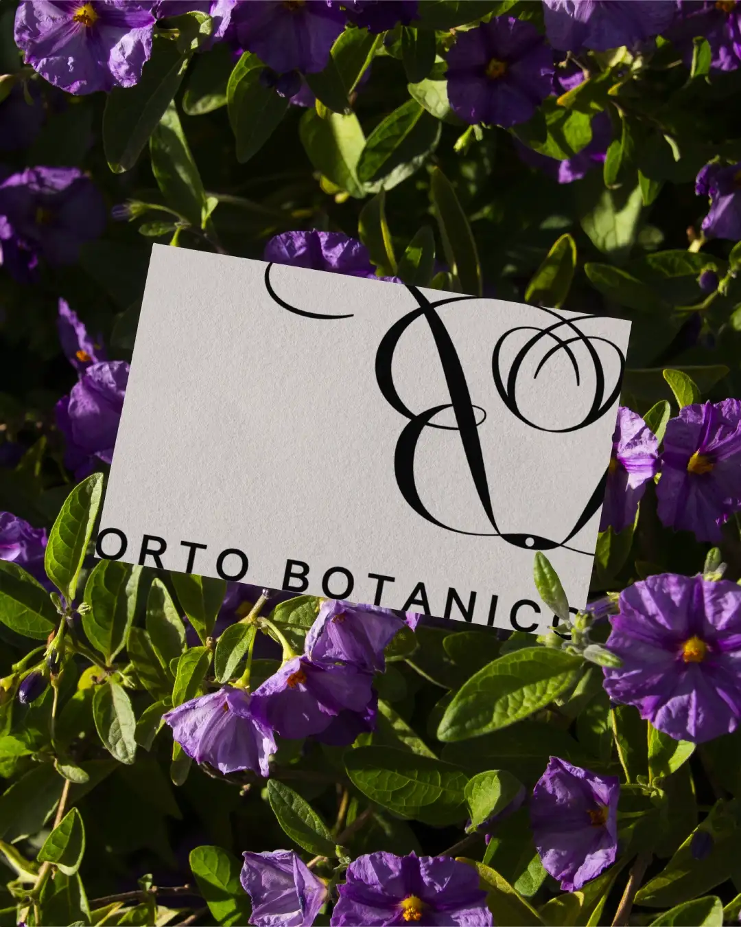 Orto Botanico visual by Studio S__LF