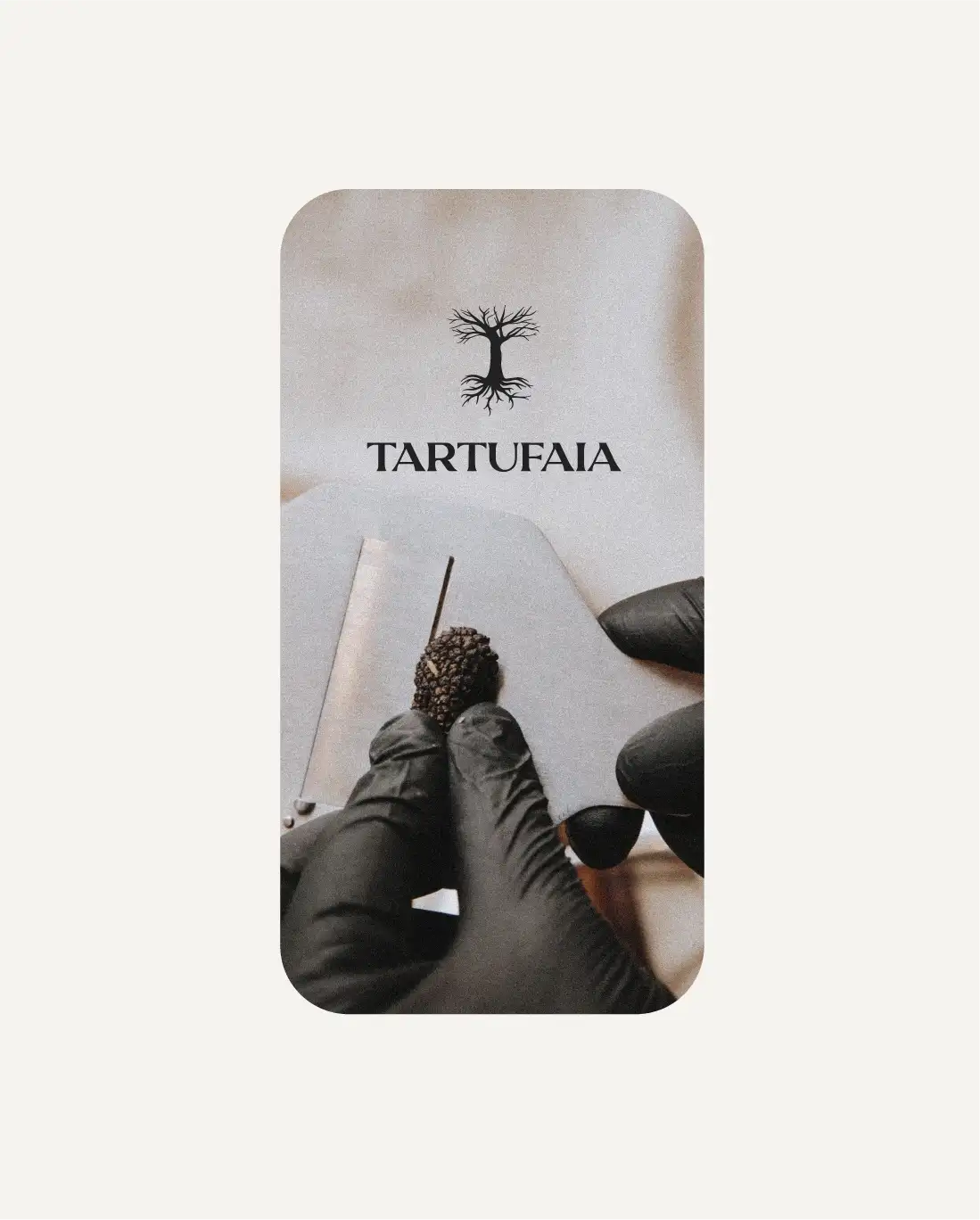 Tartufaia visual by Studio S__LF